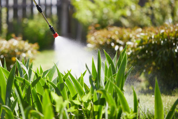 Tamper-Resistant Bait Stations for Rodents in Graymoor-Devondale