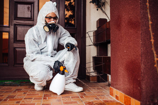 Attic and Crawl Space Rodent Treatment in Graymoor-Devondale