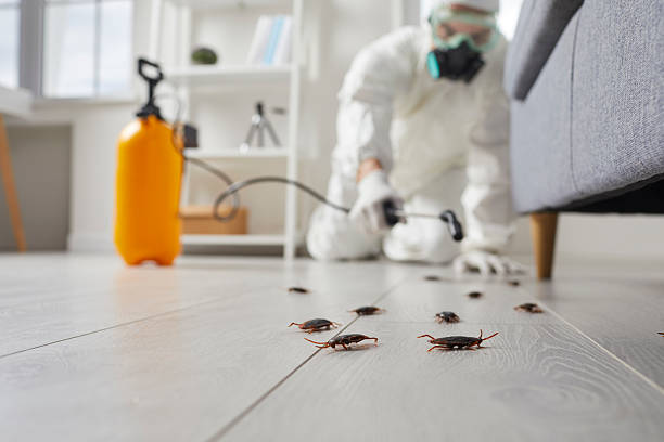 Commercial Rodent Management in Graymoor-Devondale